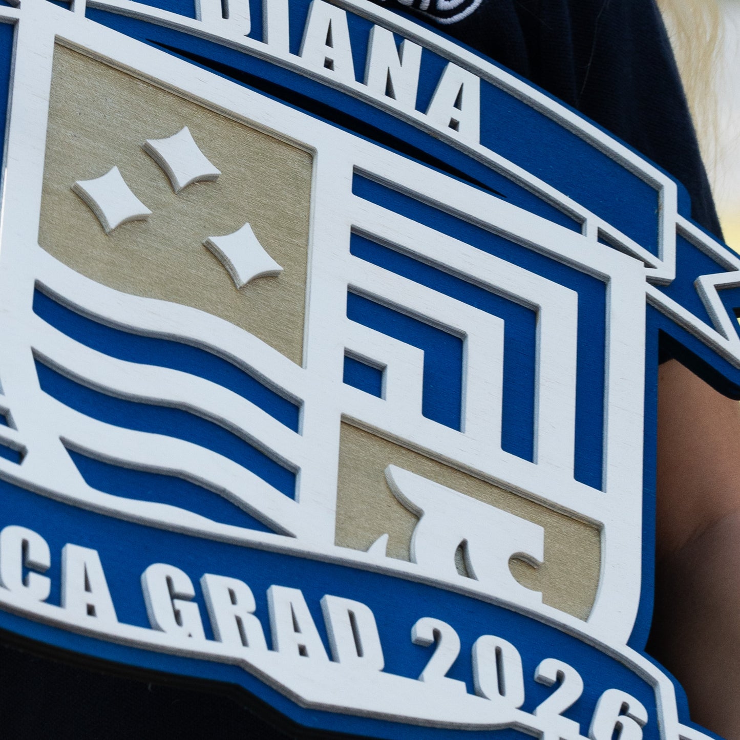 Personalized GCA 3D Wood Sign