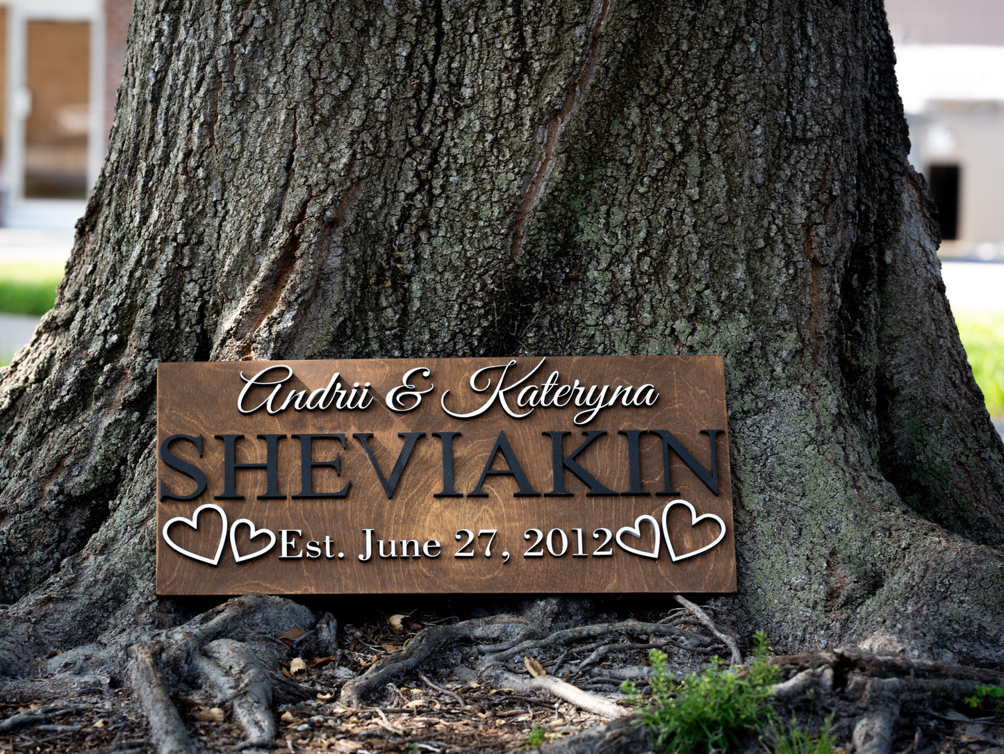 Personalized Wedding Gift Last Name Established Sign Family Name Sign Wooden Sign Custom Wood Sign Anniversary Couple Gift Personalized Sign