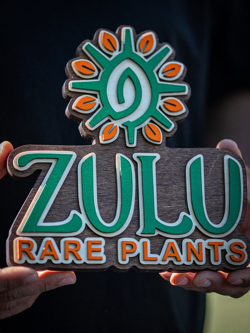 Bright orange and green layered wood sign for Zulu Rare Plants with a sunburst flower and cream outlined lettering